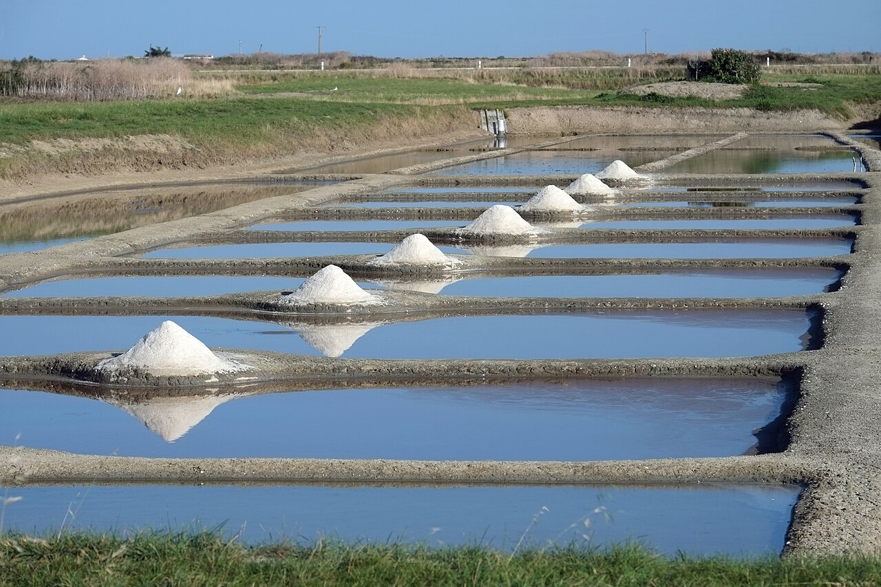 Marais salants